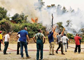 Ανάθεμα στους Δήμους…