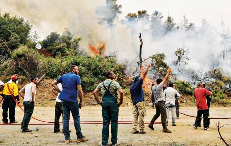 Ανάθεμα στους Δήμους…