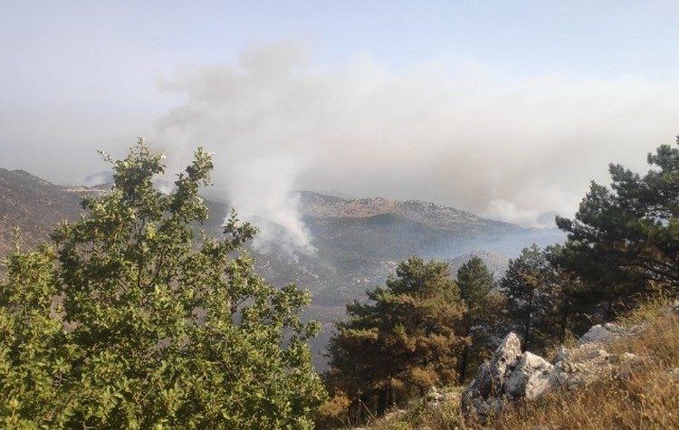 Μάχη δίχως τέλος με τις φλόγες σε Ρόδο και Κέρκυρα - Διάσπαρτες εστίες σε Κάρυστο και Δερβενάκι