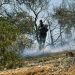 Βελτιωμένη η εικόνα στις πυρκαγιές σε Δυτική Αττική, Ρόδο και Λακωνία