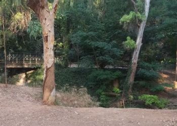 X. Mαυρουδής: «Αδιαφόρησε η Αστυνομία για περιστατικό στη Ρεματιά»