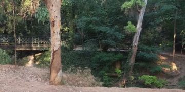 X. Mαυρουδής: «Αδιαφόρησε η Αστυνομία για περιστατικό στη Ρεματιά»