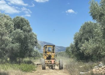 Ο ΣΠΑΠ ολοκλήρωσε τις εργασίες συντήρησης δασικών δρόμων του Δήμου Σπάτων – Αρτέμιδος
