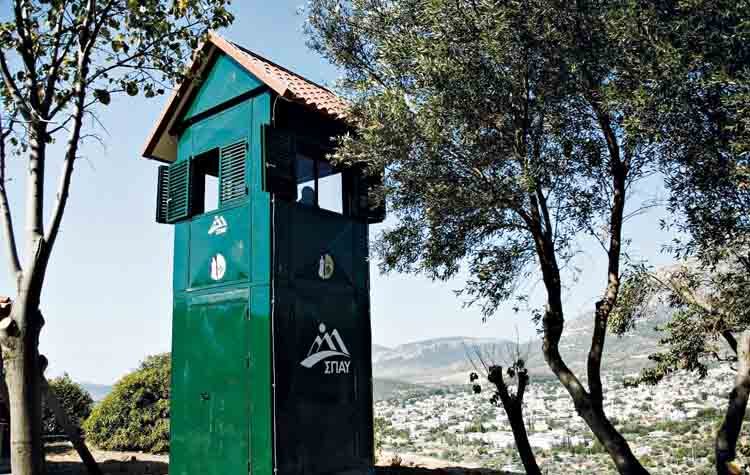 ΣΠΑΥ: «Ενωμένοι να διαφυλάξουμε τα δάση της πατρίδας μας»