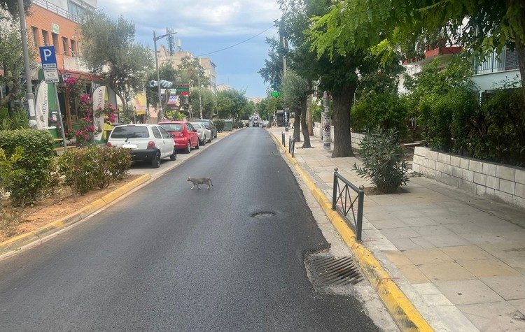 «Όχι σε επιβάρυνση των Μαρουσιωτών με το κόστος επεξεργασίας ανακυκλώσιμων από εργολάβους»