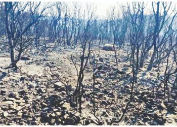 Το «θερμό» καλοκαίρι έγινε επικίνδυνο