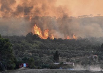 Πάρνηθα: Μάχη με τις αναζωπυρώσεις