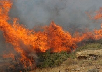 Ολονύχτια μάχη της Πυροσβεστικής με πυρκαγιά στον Ασπρόπυργο