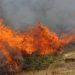Ολονύχτια μάχη της Πυροσβεστικής με πυρκαγιά στον Ασπρόπυργο