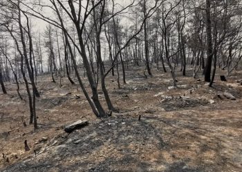 Συνεχίζεται η μάχη με τις πυρκαγιές σε Έβρο και Ροδόπη