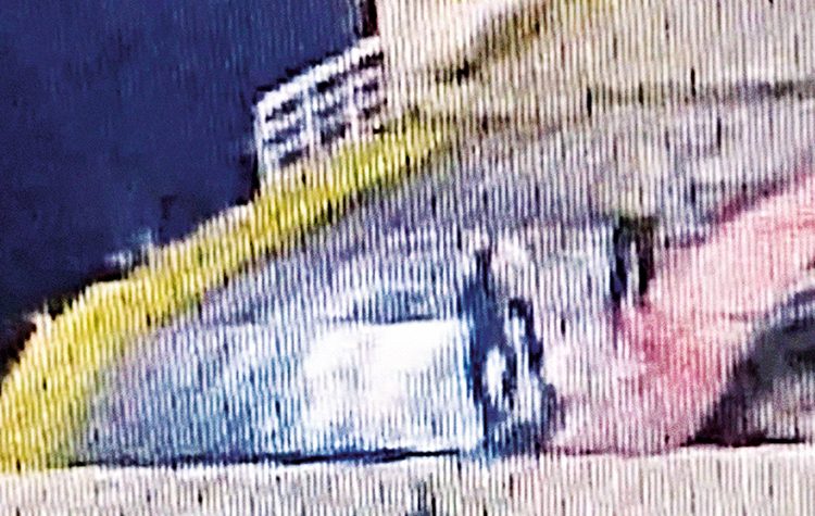 Ο καταπέλτης της παλιανθρωπιάς