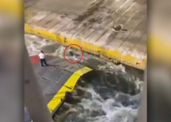 Blue Horizon: Πνιγμός η αιτία θανάτου του 36χρονου