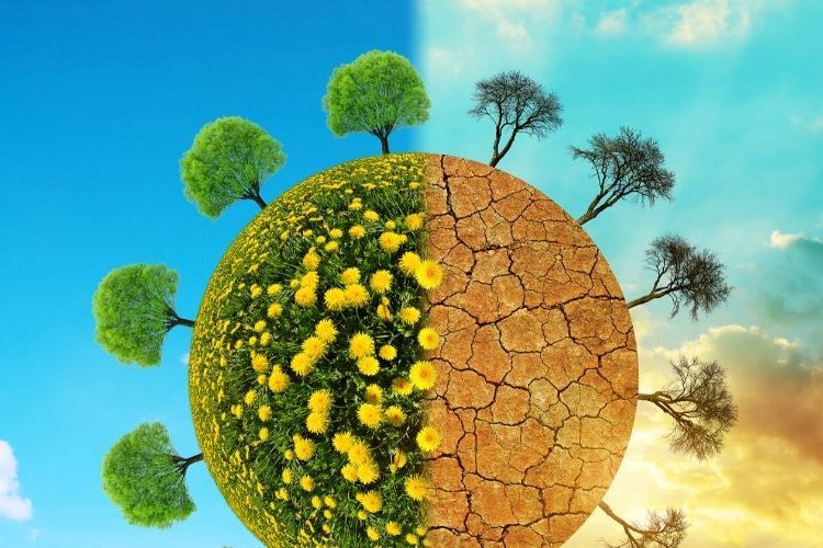 Η κλιματική κρίση είναι πραγματική απειλή και όχι «βολικό» άλλοθι για να κρύβονται οι ευθύνες της κυβέρνησης και της τοπικής αυτοδιοίκησης.