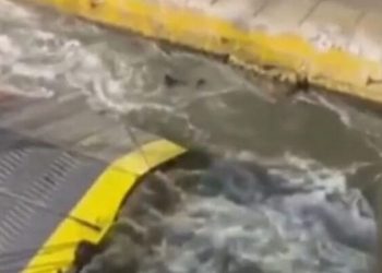 ΚΚΕ: Η απαξίωση της ανθρώπινης ζωής οδηγεί σε τέτοια επίπεδα αποκτήνωσης