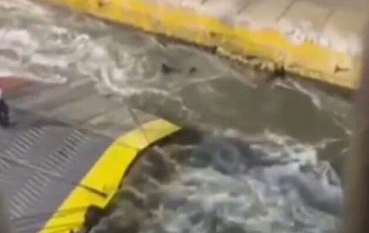 ΚΚΕ: Η απαξίωση της ανθρώπινης ζωής οδηγεί σε τέτοια επίπεδα αποκτήνωσης