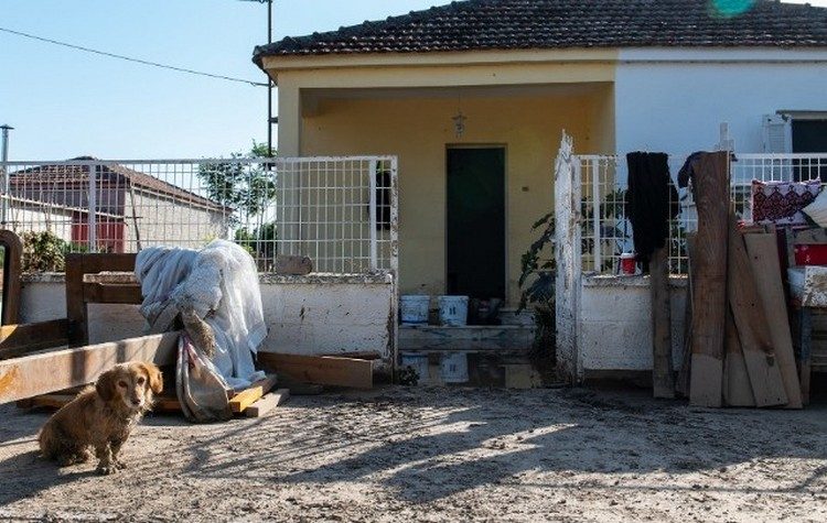 Τα 14 μέτρα κρατικής αρωγής προς τους πλημμυροπαθείς της Θεσσαλίας