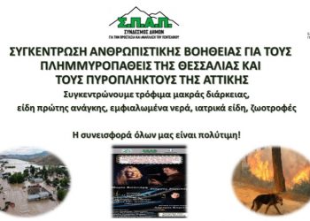 Διπλή δράση αλληλεγγύης διοργανώνει ο ΣΠΑΠ
