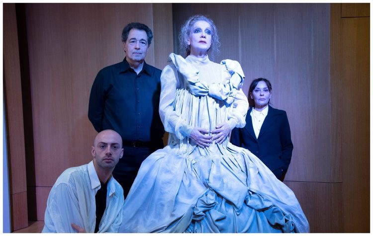 «Ο αδελφός μου ο Αμαντέους» του Μηνά Βιντιάδη στο Μέγαρο Μουσικής Αθηνών