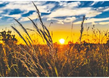 Ανοίξτε τις πύλες!