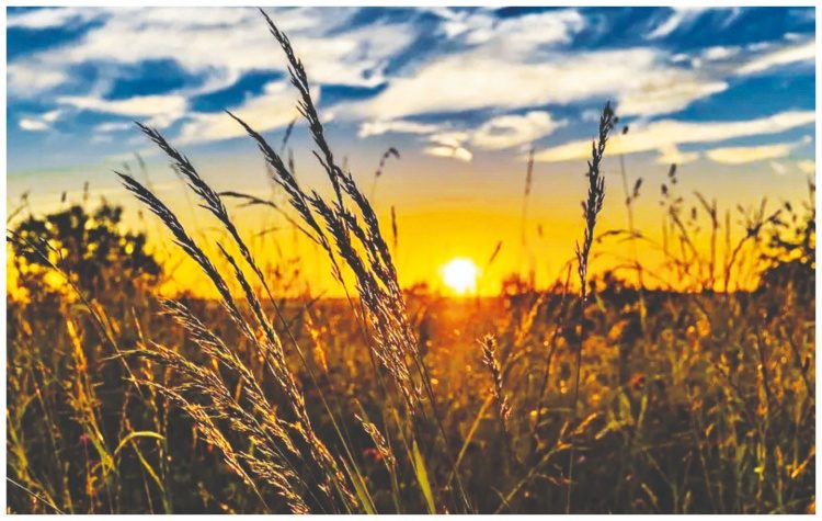 Ανοίξτε τις πύλες!