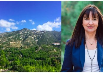 Αναδασώνονται οι καμένες εκτάσεις στο Πεντελικό