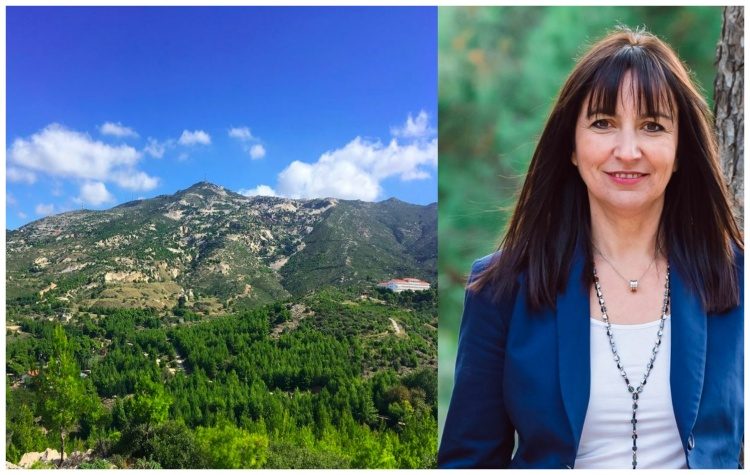 Αναδασώνονται οι καμένες εκτάσεις στο Πεντελικό