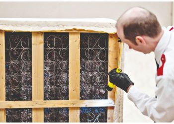 Ευρώπη: Η… επέλαση των κοριών!