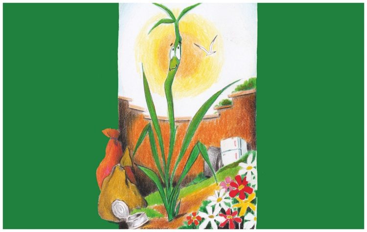 Δημοτικό Ωδείο Αμαρουσίου: «Η Ιστορία ενός Φυτού» στο ΟΤΕΑcademy, Κυριακή 5 Νοεμβρίου