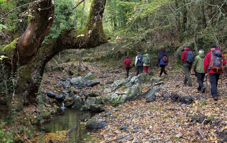 Σύλλογος Πεζοπόρων: Νοέμβριος πλούσιων εκδρομών