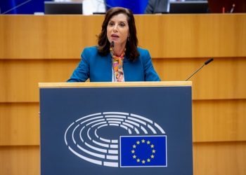 Προϋπολογισμός της ΕΕ 2024: «Διεκδικούμε δυναμικά επιπλέον πόρους για την κλιματική κρίση και τις μεταναστευτικές ροές»