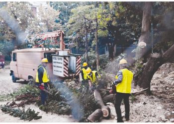 Εξάρχεια: Τα δέντρα στη… μέση του μετρό