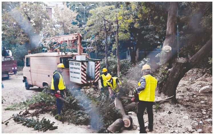 Εξάρχεια: Τα δέντρα στη… μέση του μετρό