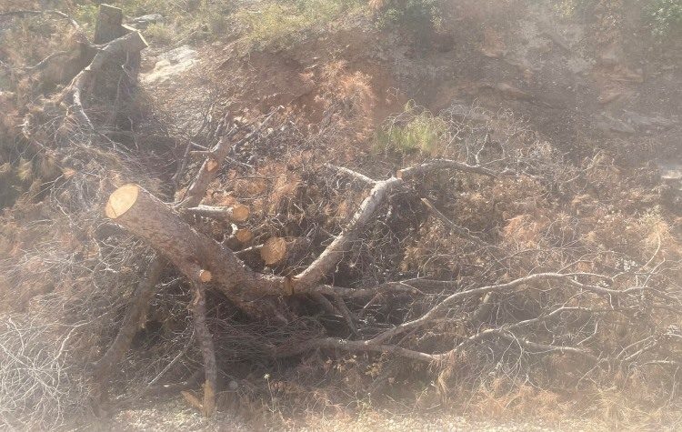 Σύλλογος Άη Γιάννη: «Μεγάλος ο κίνδυνος πυρκαγιάς στον Υμηττό»