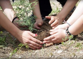 Δράση Εθελοντικής Αναδάσωσης διοργανώνει ο ΣΠΑΠ