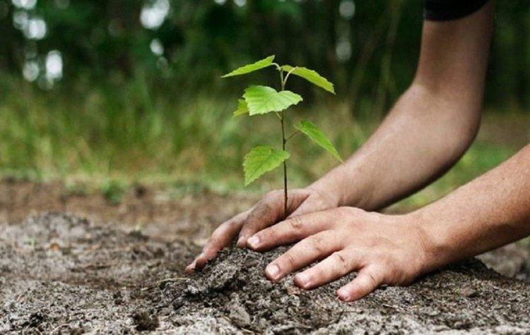 H πρώτη δεντροφύτευση της χρονιάς από τον ΣΠΑΠ και το «Όλοι Μαζί Μπορούμε»