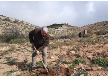 Ολοκληρώθηκε με επιτυχία ακόμα μια δράση εθελοντικής αναδάσωσης του ΣΠΑΠ στο Πεντελικό