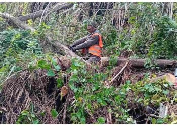 Λ. Κεφαλογιάννη: «Συνεχίζονται οι καθαρισμοί ρεμάτων στον Βόρειο Τομέα»