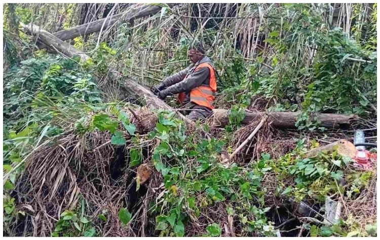 Λ. Κεφαλογιάννη: «Συνεχίζονται οι καθαρισμοί ρεμάτων στον Βόρειο Τομέα»
