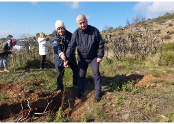 Με απόλυτη επιτυχία στέφθηκε η πρώτη αναδάσωση για το 2024 στο Πεντελικό Όρος