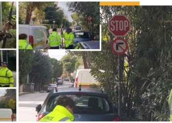 Ξεκίνησαν τα κλαδέματα για την αποκατάσταση ορατότητας πινακίδων οδικής κυκλοφορίας