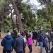 Οι πολίτες ανταποκρίθηκαν στο κάλεσμα της Λαϊκής Συσπείρωσης για το δάσος Μορέλλα