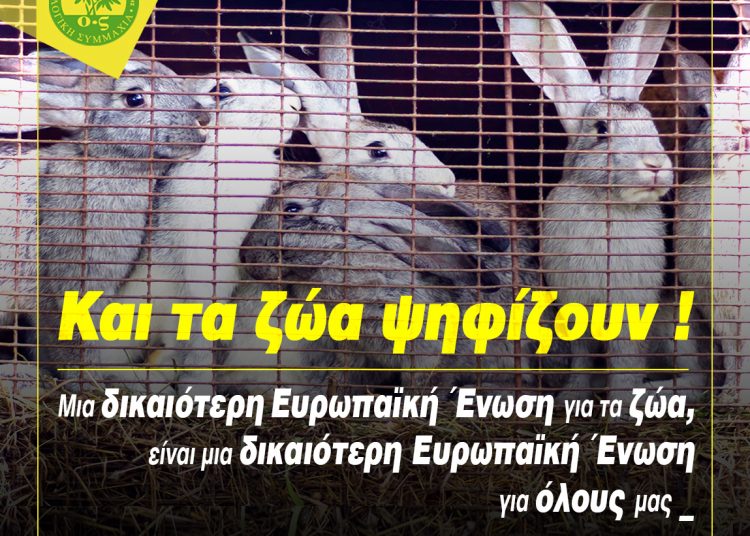 «Vote for Animals» : 12 φιλοζωικές οργανώσεις για τις Ευρωεκλογές 2024