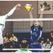 ΑΟΠ ΚΗΦΙΣΙΑΣ - VOLLEY LEAGUE: Αρχίζει αγωνιστικός «Γολγοθάς»
