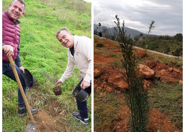Με μεγάλη επιτυχία στέφθηκε η δράση δενδροφύτευσης στην Ανθούσα