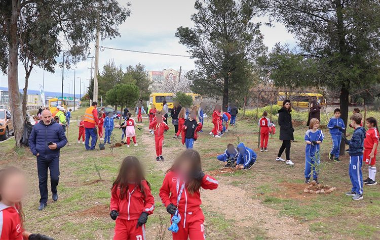 Δήμος και σχολεία «πρασινίζουν» μαζί την πόλη