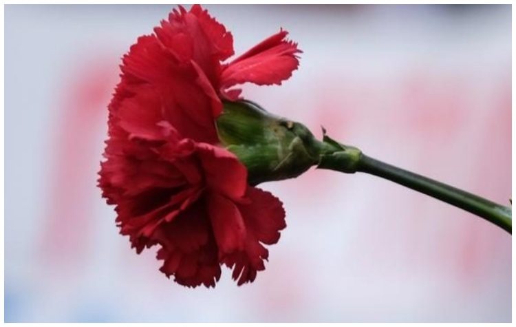 Δόμνα Μιχαηλίδου: Την Τρίτη 7 Μαΐου μετατίθεται η αργία της Πρωτομαγιάς