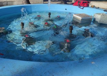 Ξανά σε λειτουργία το συντριβάνι στην Πλατεία Θράκης