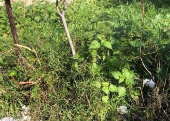 Νέο «καμπανάκι» του Δήμου για τον καθαρισμό των ιδιωτικών οικοπέδων