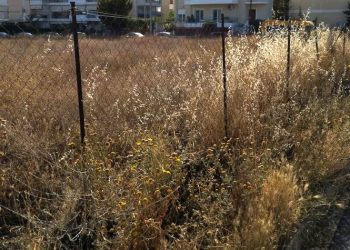 «Καμπανάκι» του Δήμου για καθαρισμό των ιδιωτικών οικοπέδων