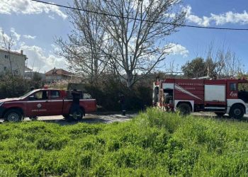 Δήμος Ωρωπού: Συναγερμός για καθαρισμούς οικοπέδων έως 30 Απριλίου